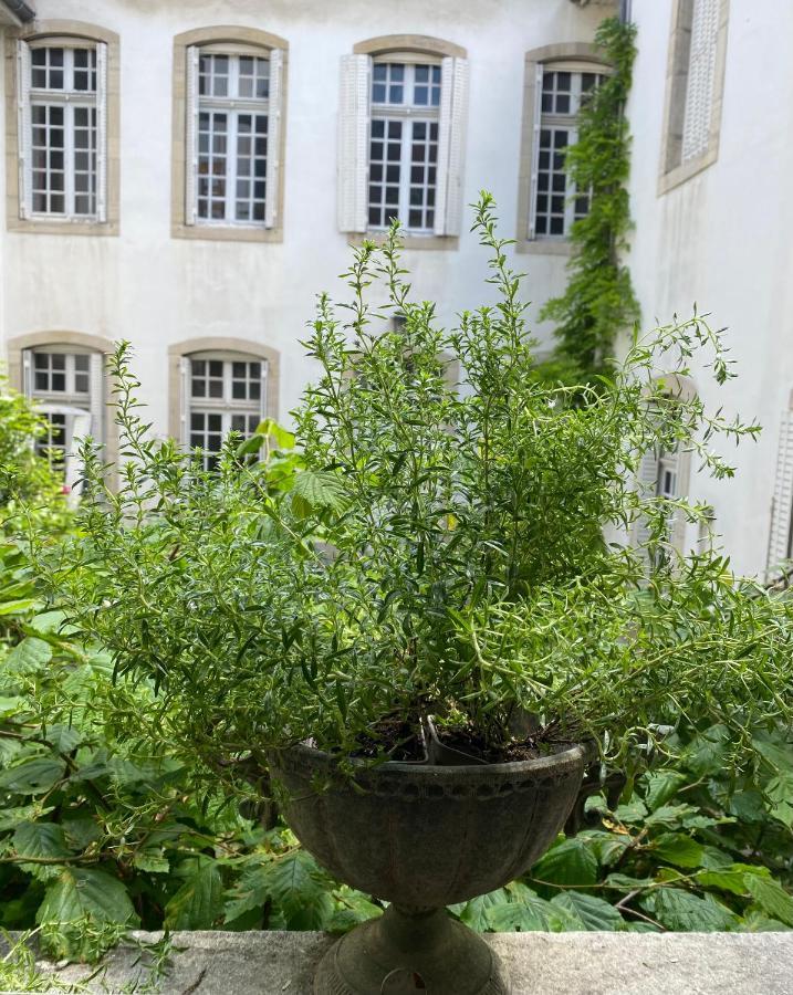 L'Appartement By Merveilles De Marie Lons-le-Saunier Exterior photo